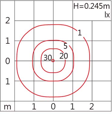 OLG-304SST-245-light.jpg