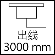 3000mm.jpg